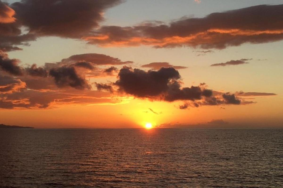 un tramonto sull'oceano con un uccello che vola