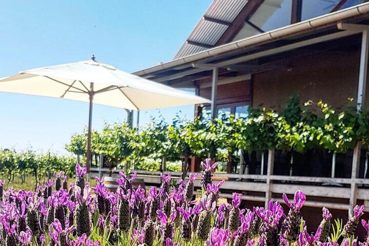 an umbrella and purple flowers in front of a house