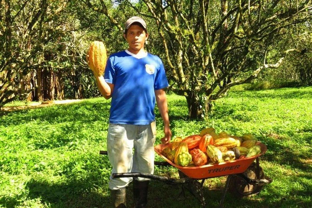 a young man standing next to a wheelbarrow of food