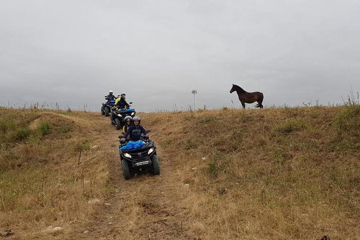 skupina lidí jedoucích na motorkách na kopci s koněm