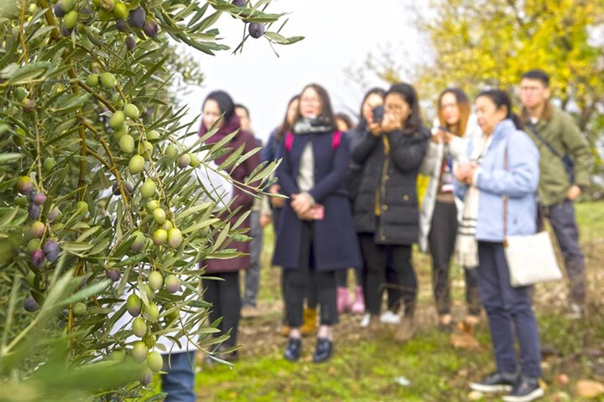 a group of people taking pictures of a tree