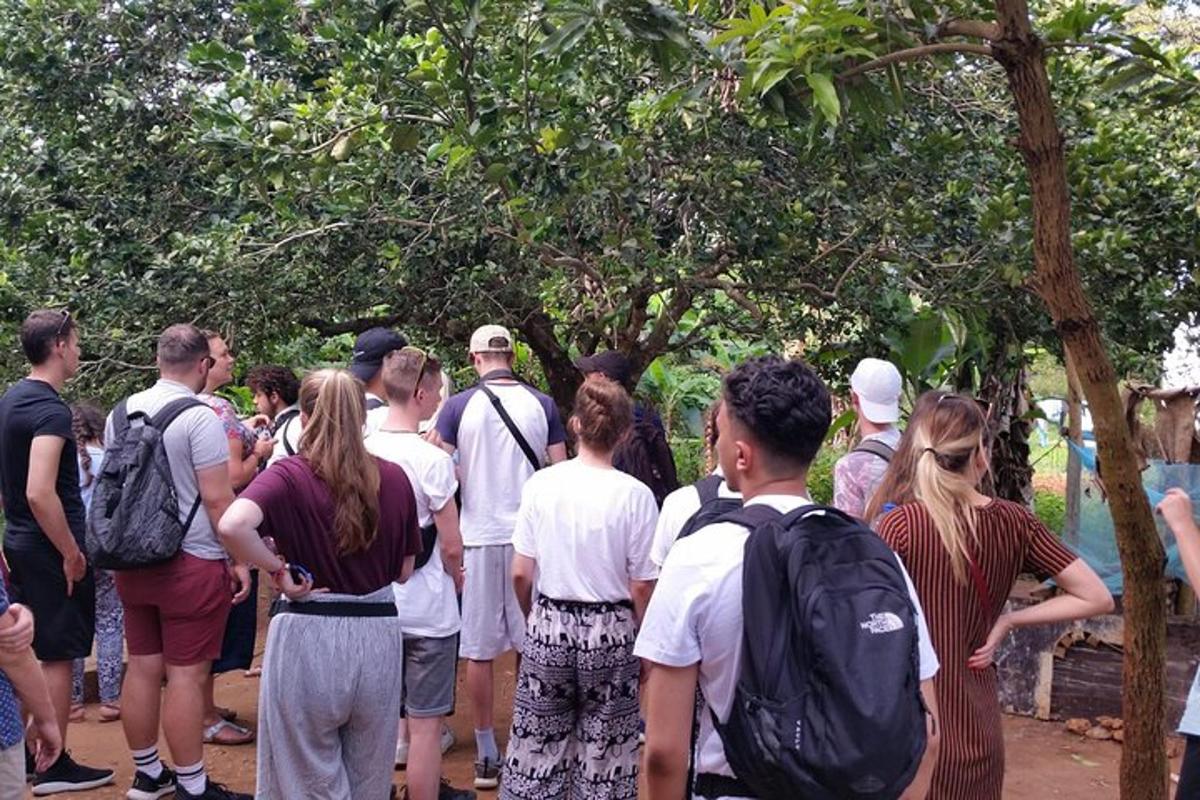 um grupo de pessoas em pé em frente a uma árvore