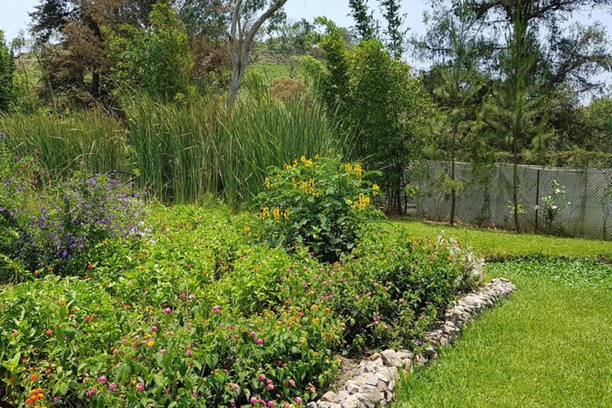 a garden with a bunch of flowers in a yard