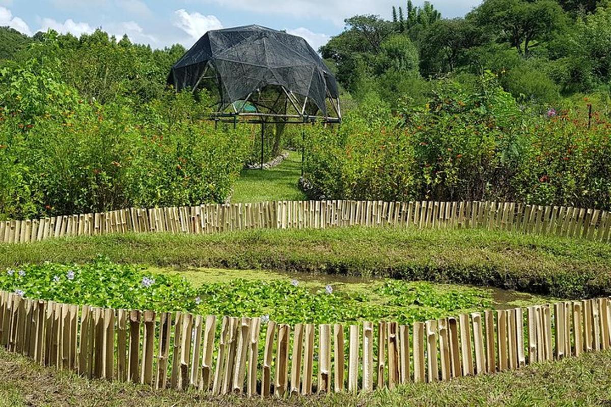 a garden with a fence and an umbrella in the background