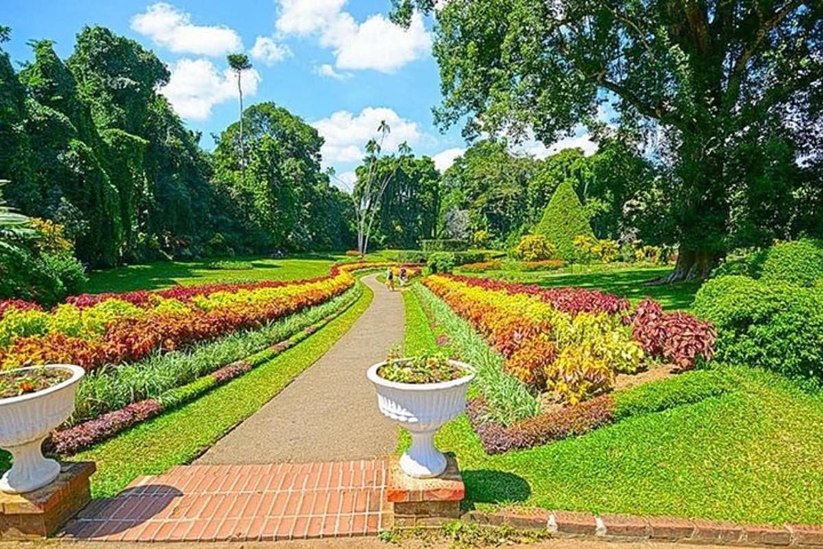 un giardino con molti fiori in un parco