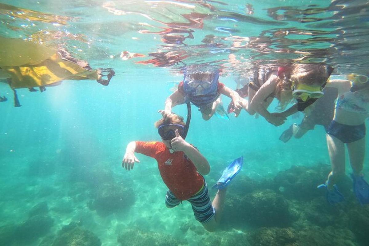 a group of people swimming in the water