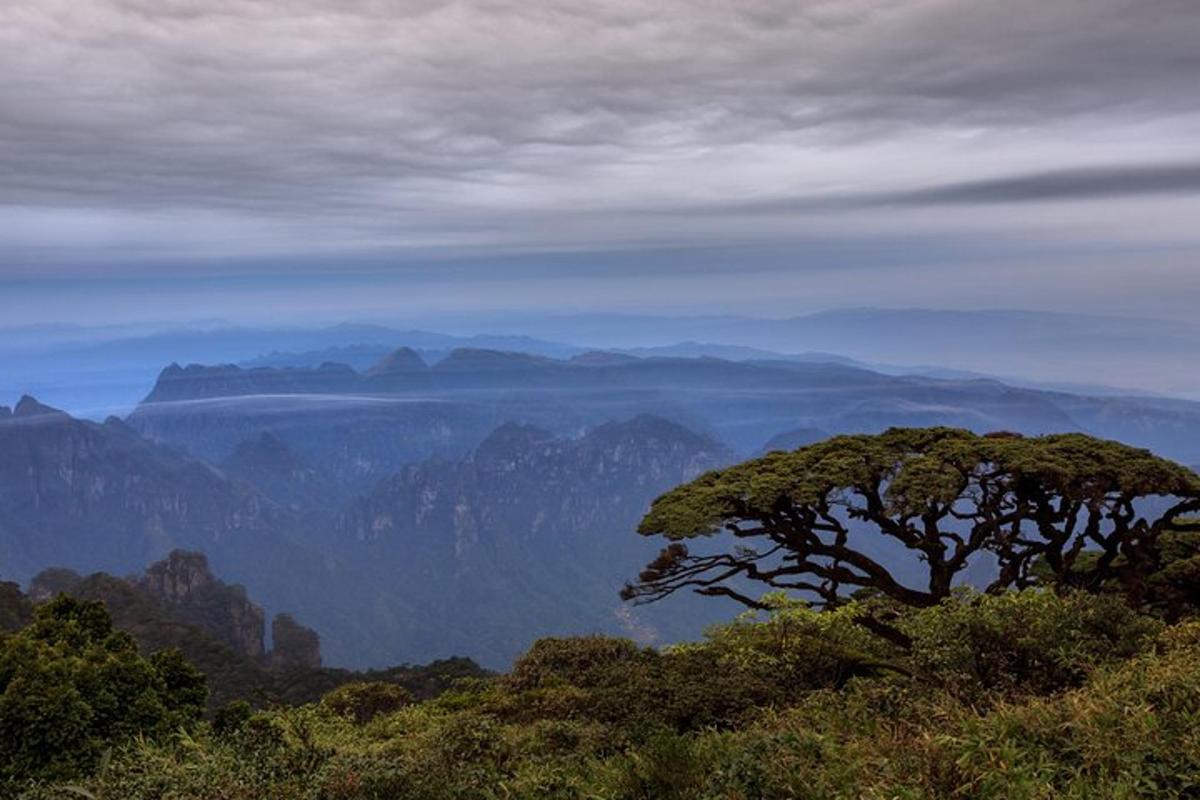 山顶上的一棵树，背景是群山
