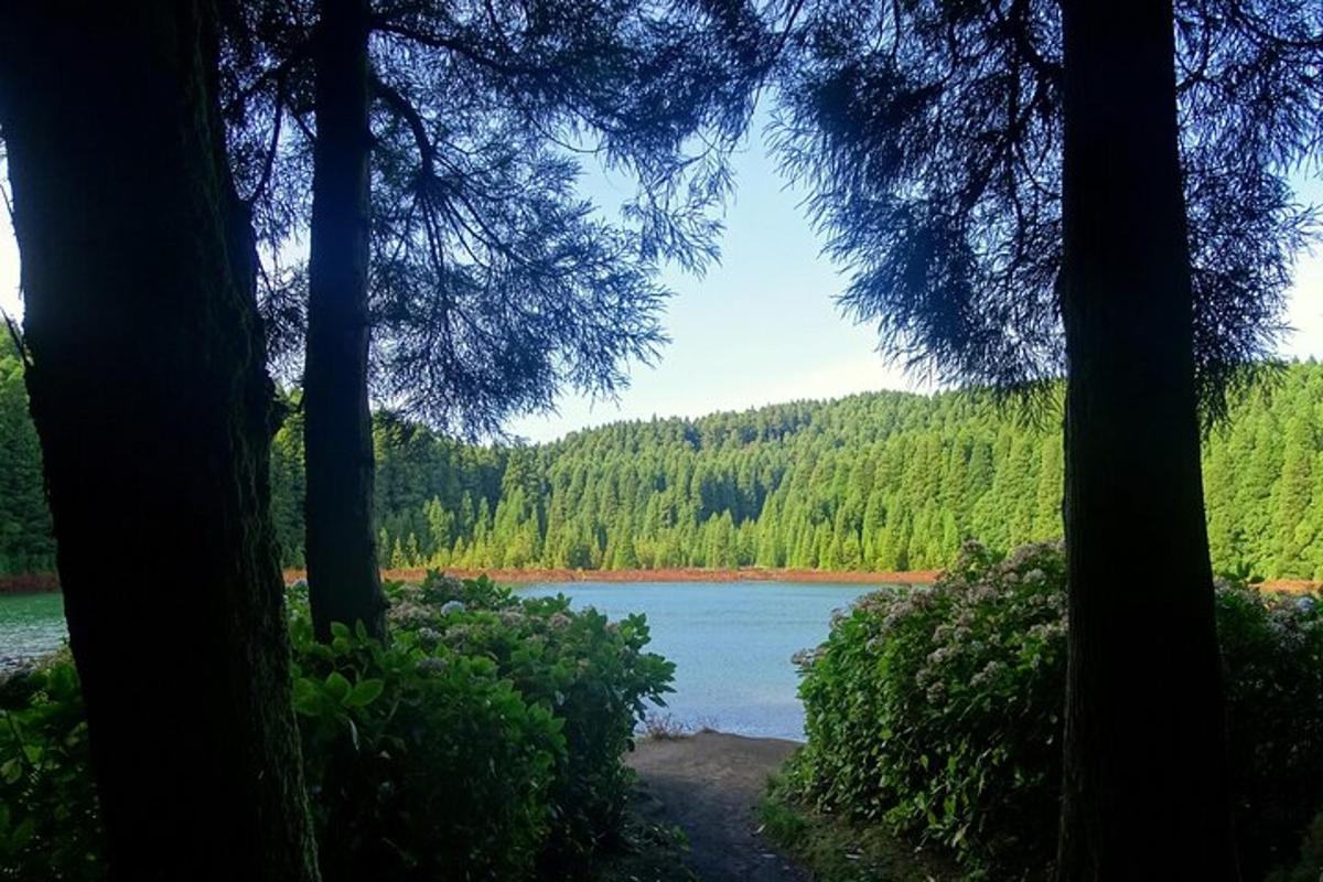 a view of a lake through a group of trees