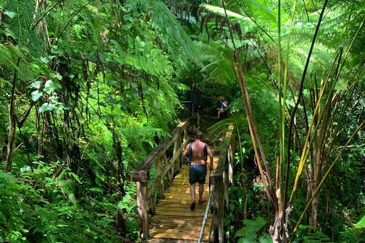 a man walking down a wooden bridge in the forest