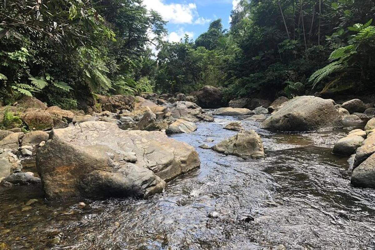 a stream of water with rocks and trees