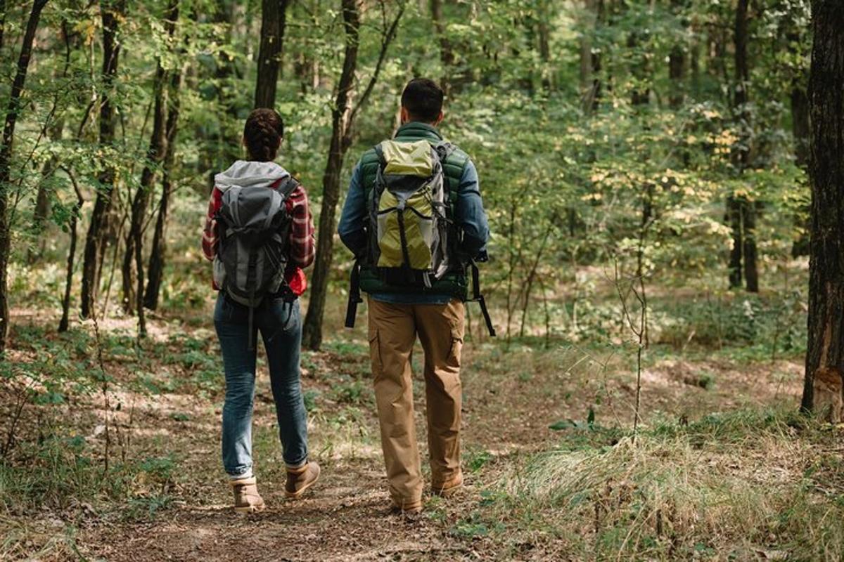 two people with backpacks walking in the woods