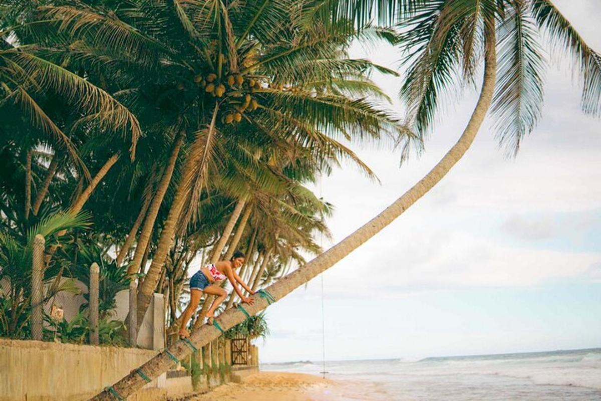 um homem subindo em uma palmeira na praia