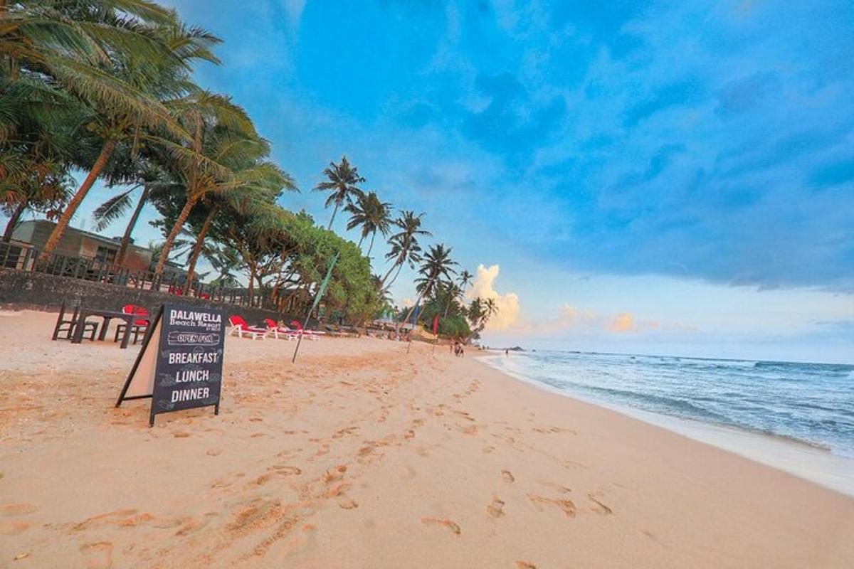 uma placa em uma praia com palmeiras e o oceano