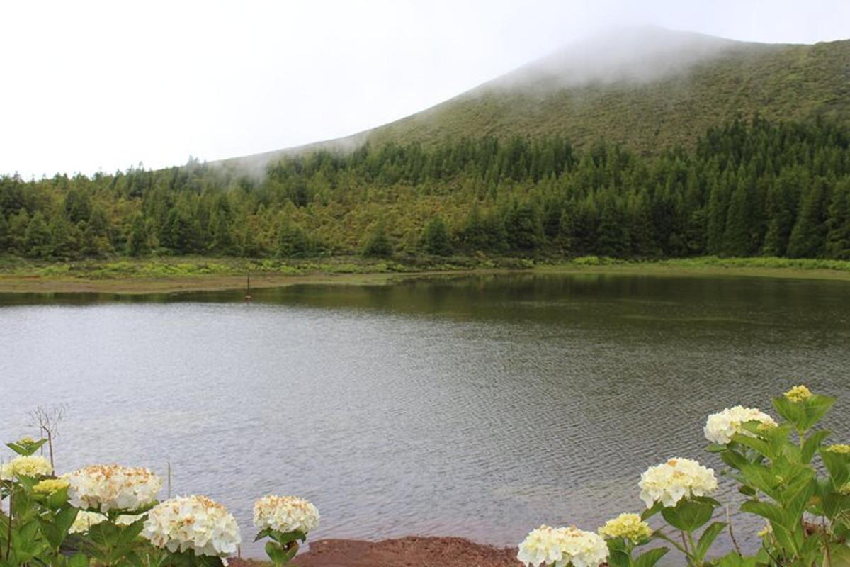 un lago con fiori di fronte a una montagna