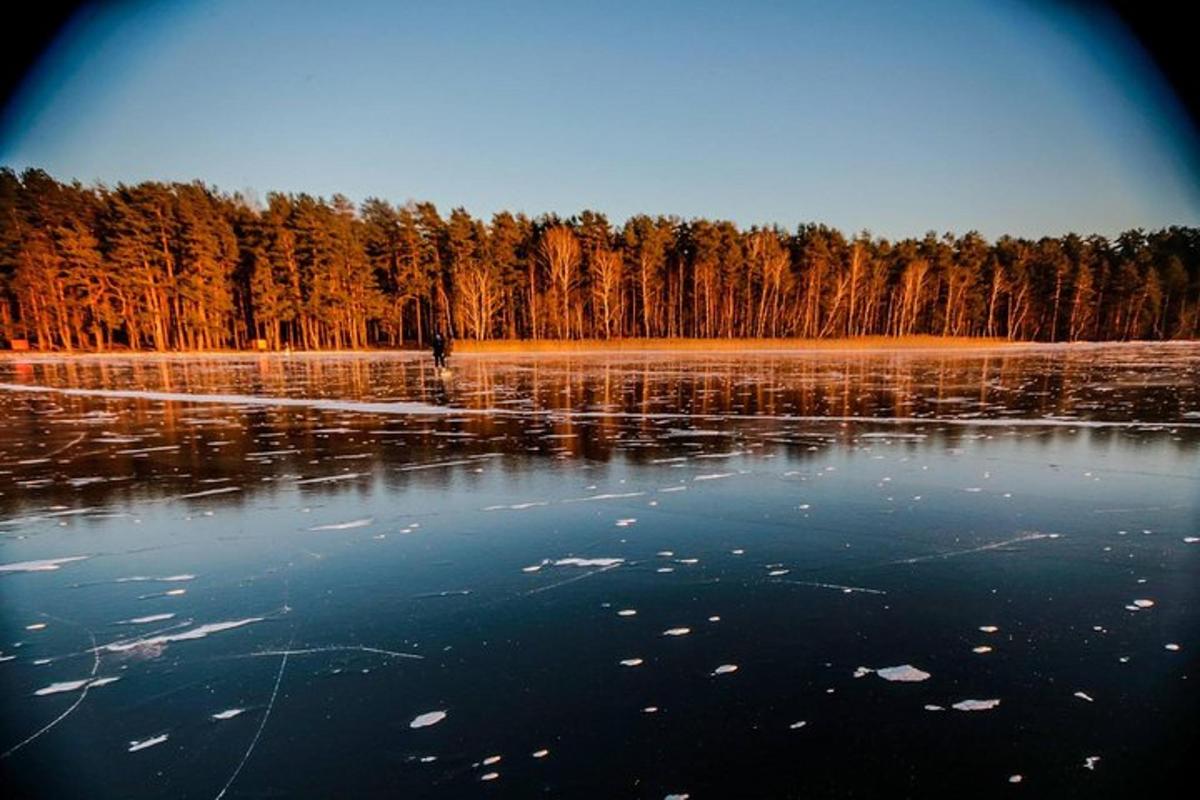 a body of water with trees in the background