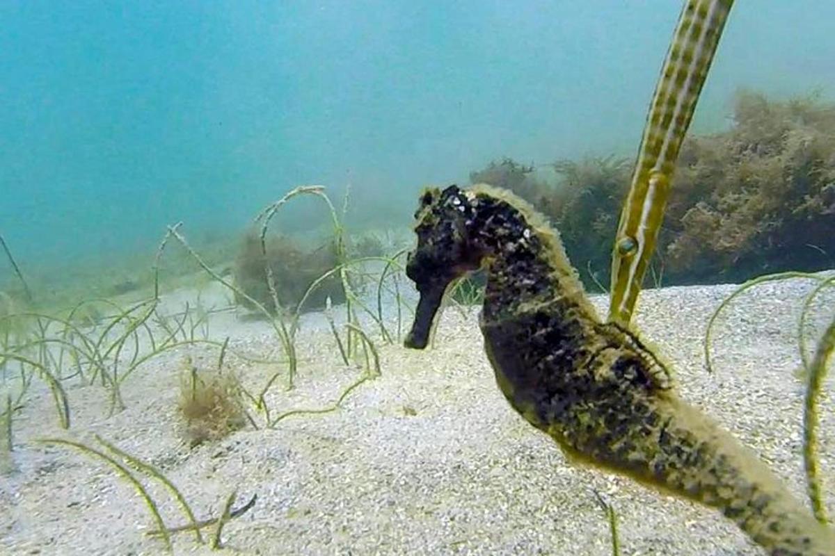 Lankytinos vietos ar pramogos nuotrauka numeris 5