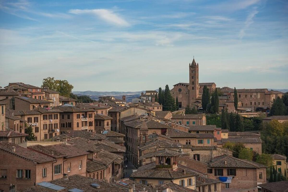 uma vista de uma cidade com casas e uma igreja