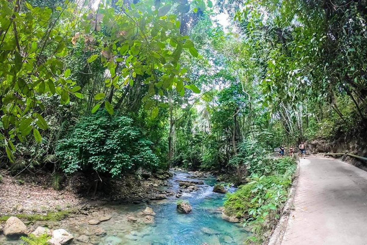 un fiume in mezzo a una strada con alberi