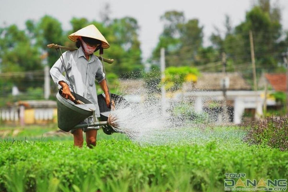 a woman watering a field with a hose