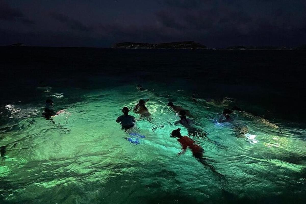 eine Gruppe von Menschen, die nachts im Meer schwimmen