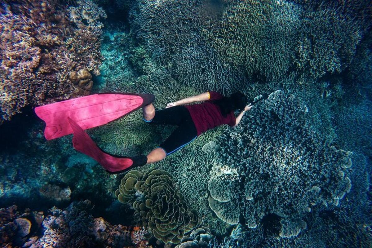 uma mulher está deitada em um recife de coral