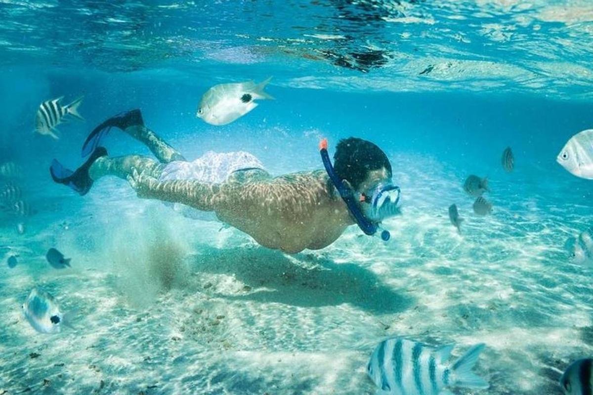 een persoon zwemt in het water met vissen