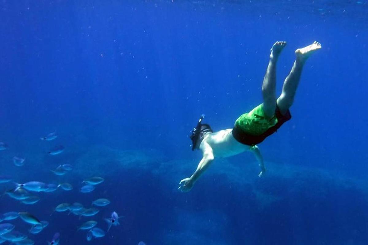 een persoon die met een groep vissen in het water zwemt