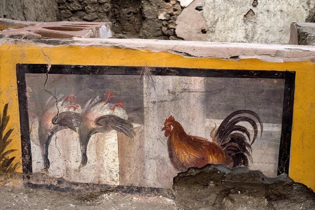 uma pintura de galinhas na lateral de uma parede