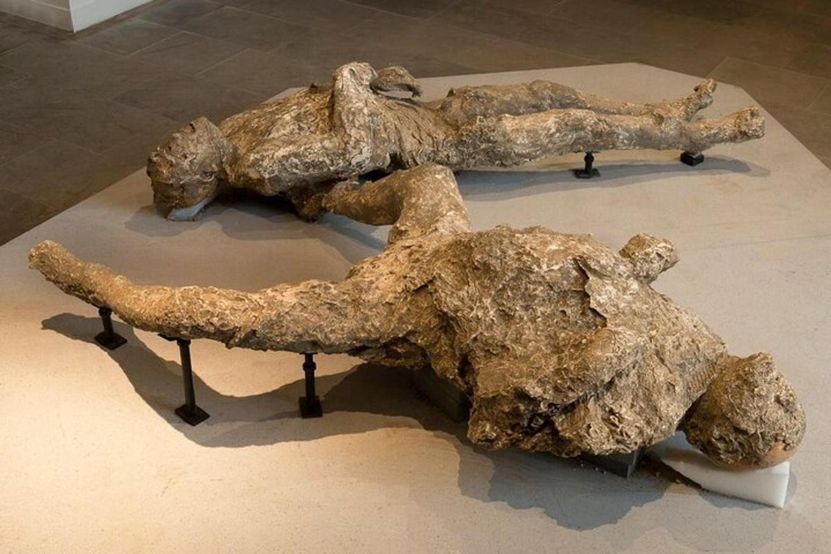 un mucchio di rocce esposte in un museo