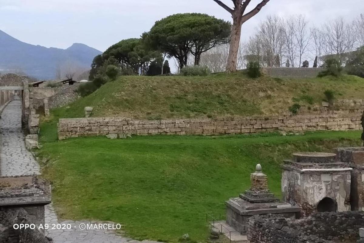 un muro di pietra con un campo verde e un albero