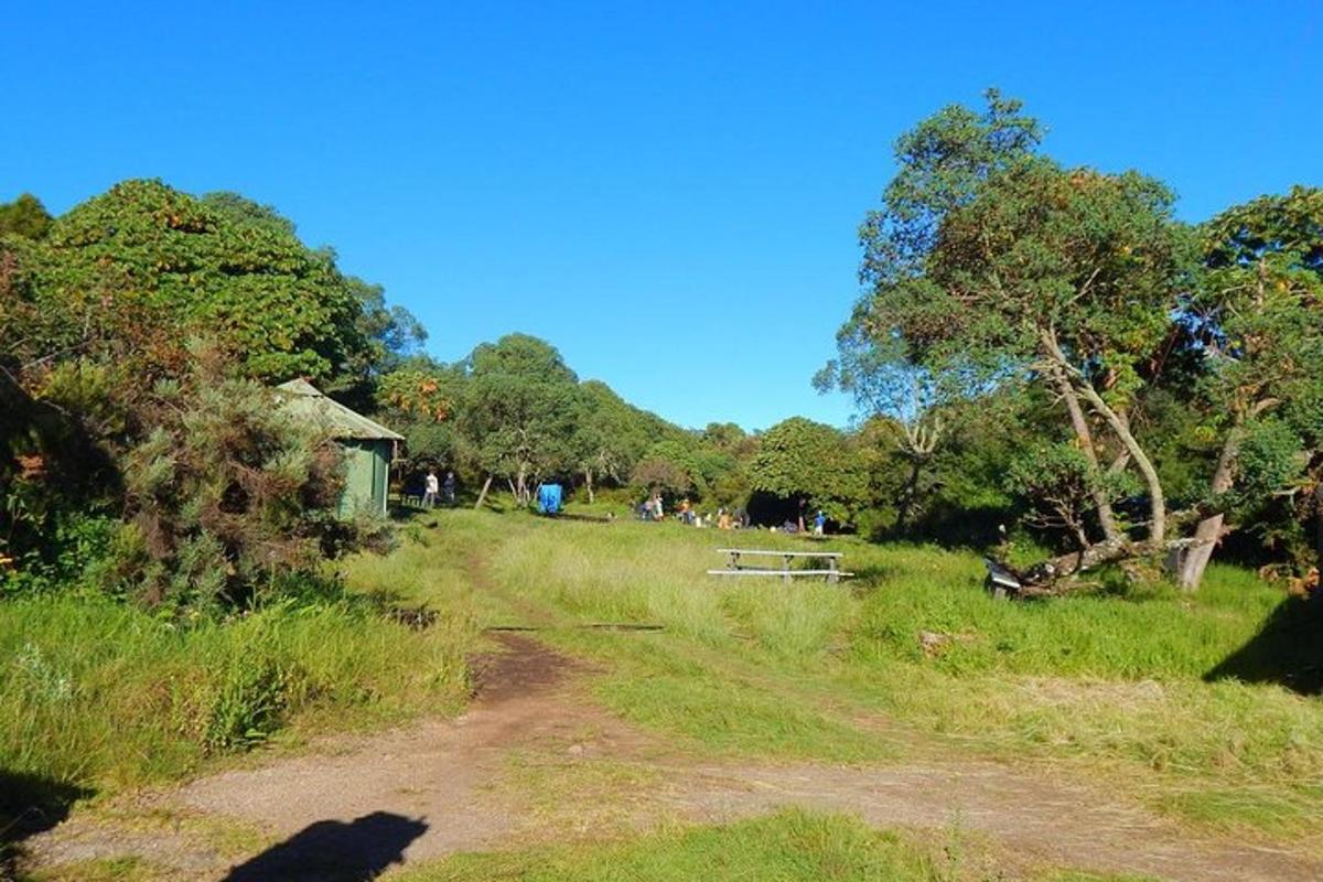 uma estrada de terra no meio de um campo