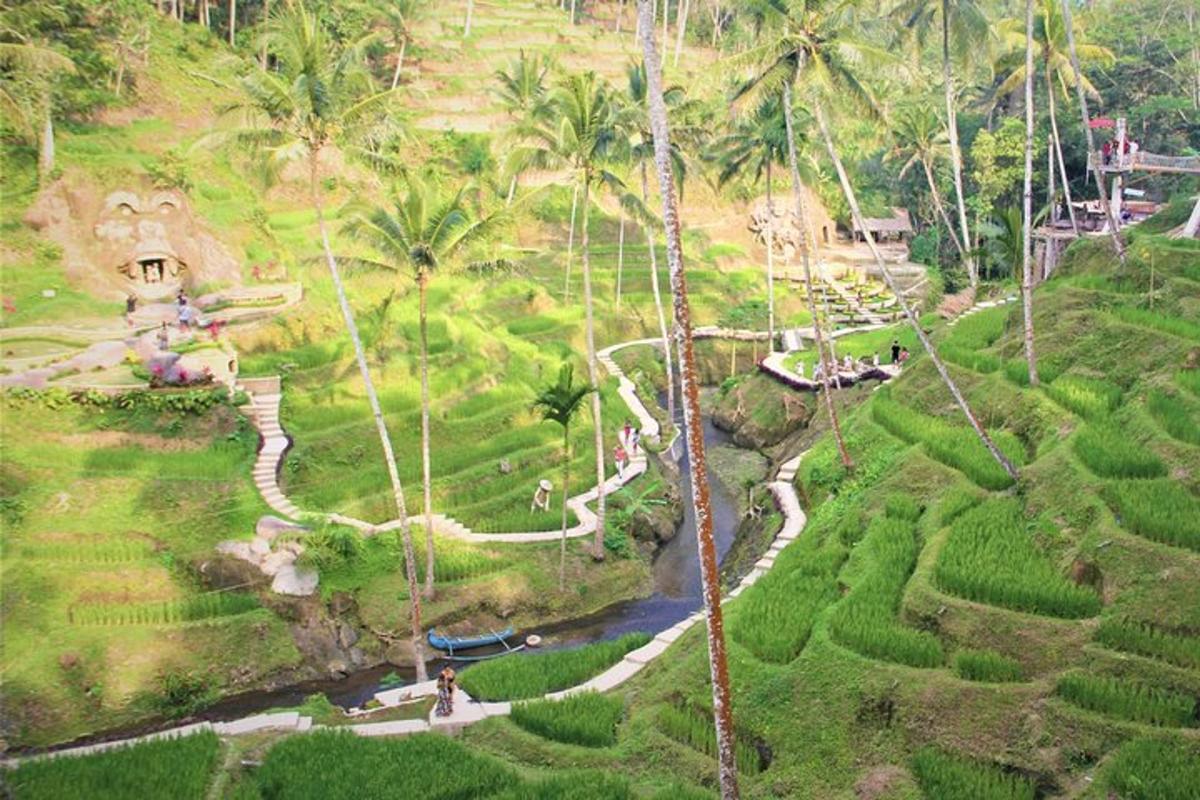 an aerial view of a garden with palm trees