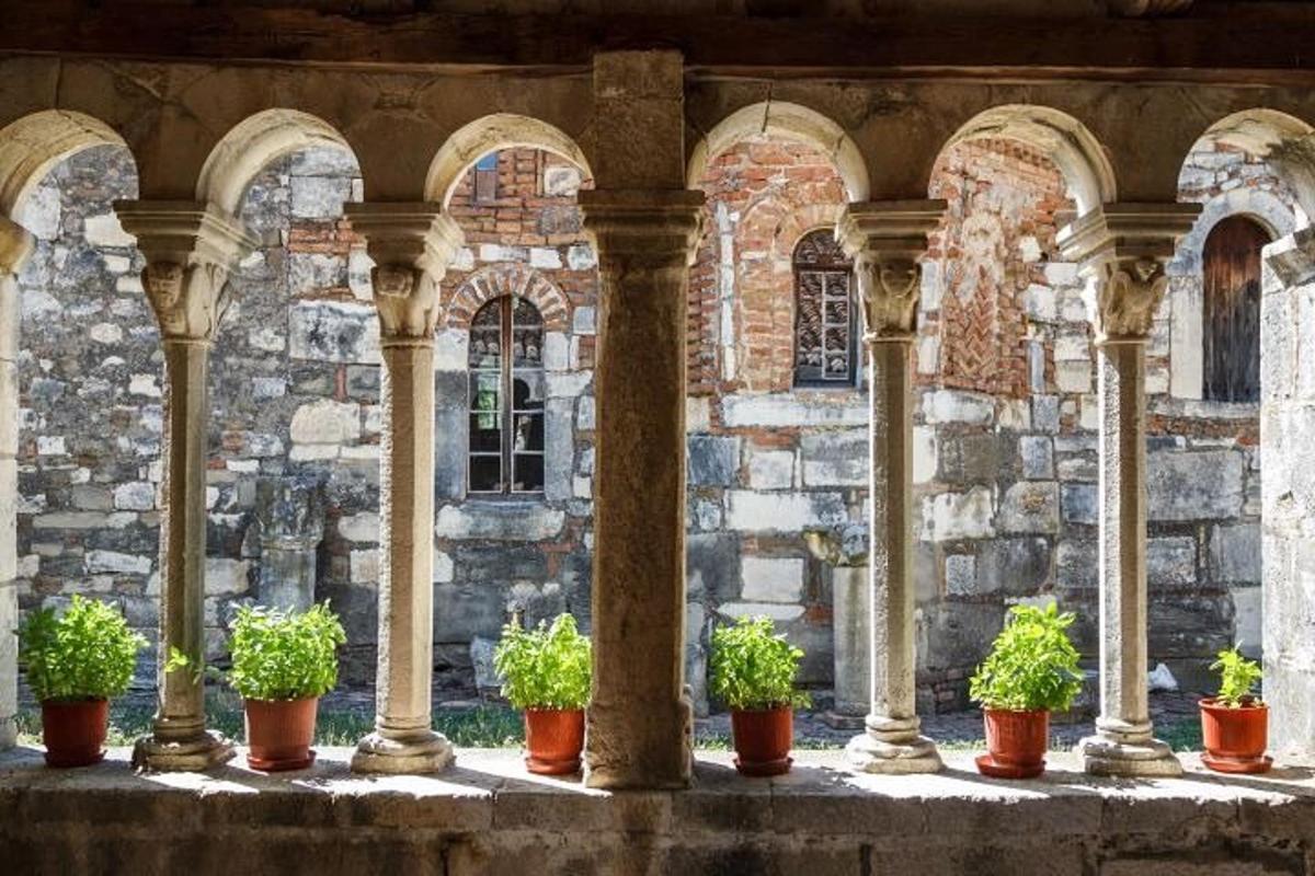 una filera de plantes en test davant d'un edifici de pedra