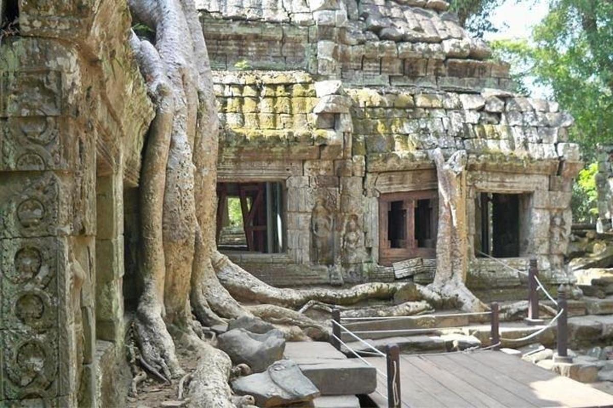 un edificio con un albero che cresce sul lato