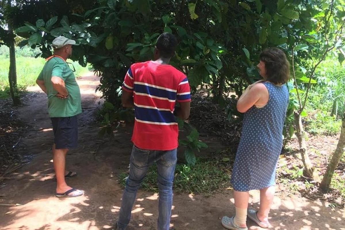 a group of three people standing next to a tree
