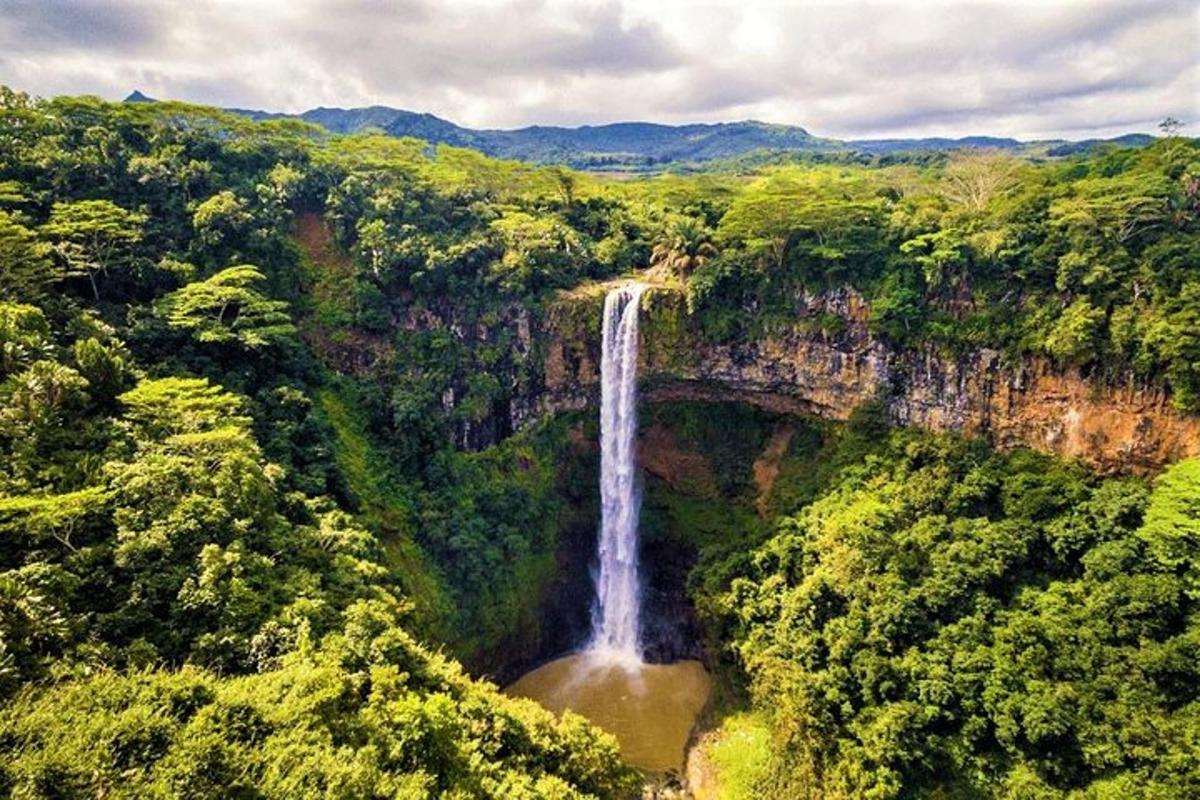 pemandangan udara air terjun di hutan