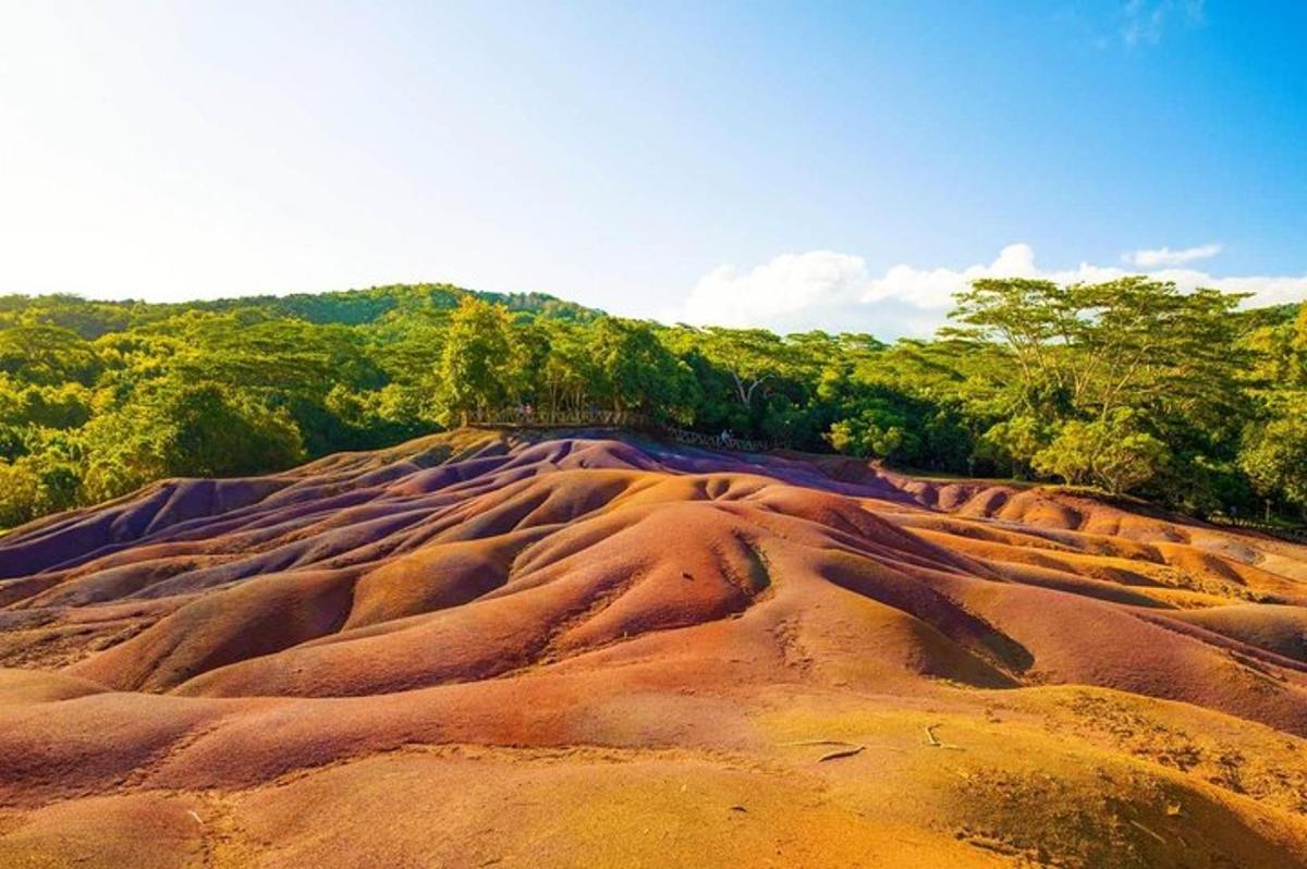 uma grande colina de areia com árvores ao fundo