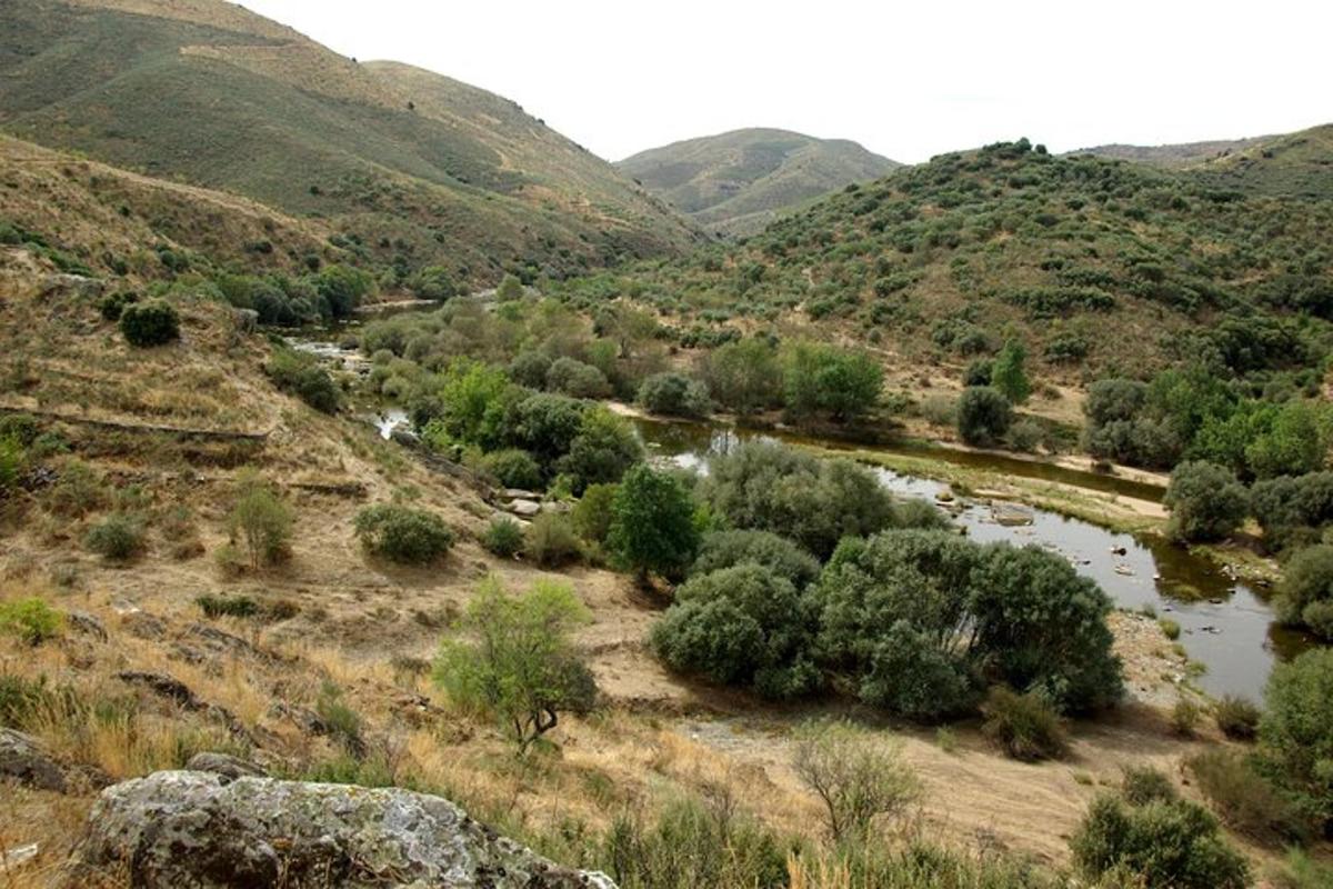 Lankytinos vietos ar pramogos nuotrauka numeris 3