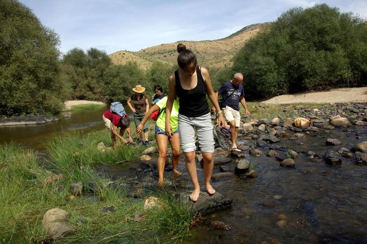 Lankytinos vietos ar pramogos nuotrauka numeris 7