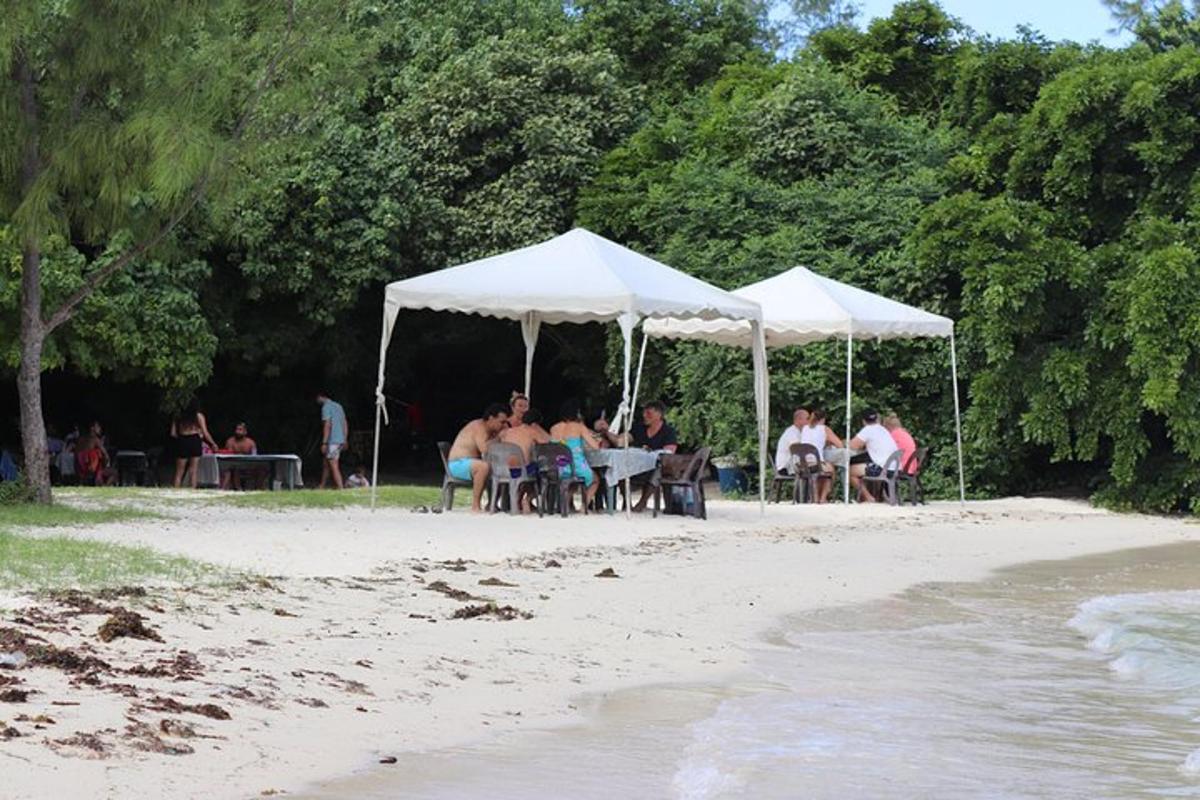 skupina ljudi, ki sedijo pod belimi šotori na plaži