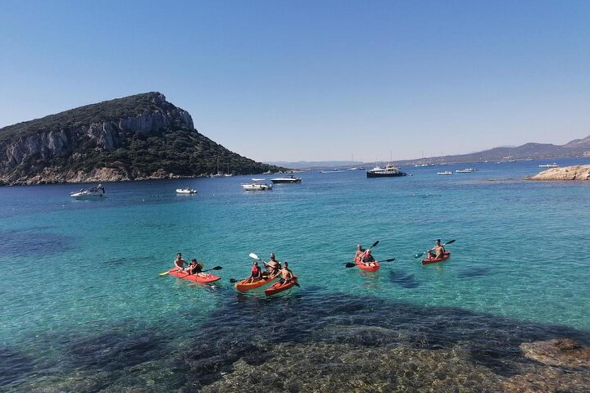 Lankytinos vietos ar pramogos nuotrauka numeris 1