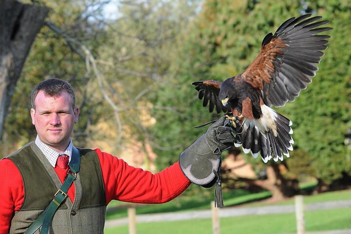 ein Mann hält einen Vogel auf seinem Arm