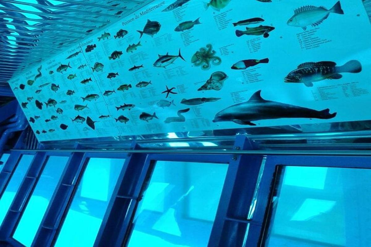 sýningarskápur í fiskabúr með fiskum