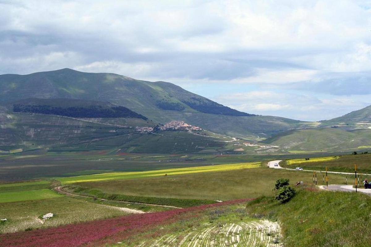 Fotografia 5 a atracției