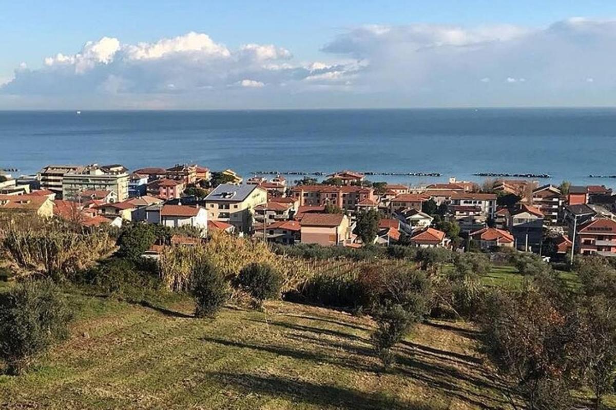 a view of a city with houses and the ocean