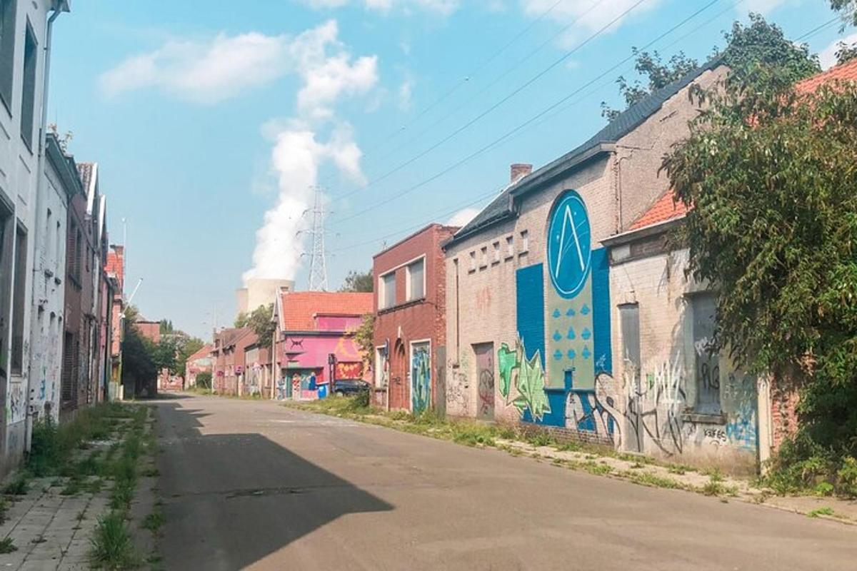 prázdná ulice s rostlinou plnou kouře