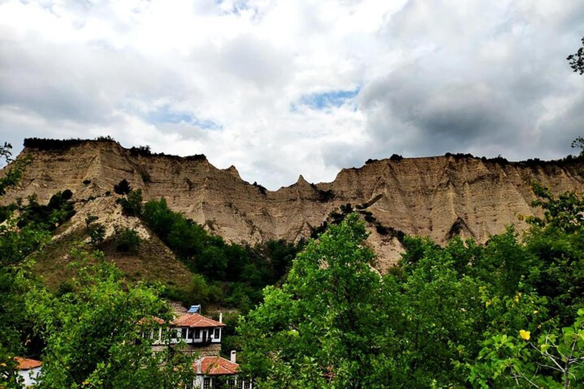 a mountain with trees and houses in front of it
