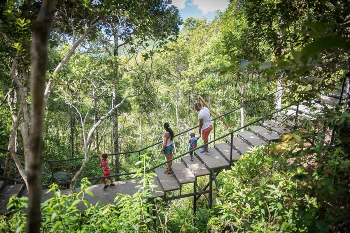 a man and three children on a suspension bridge in a forest