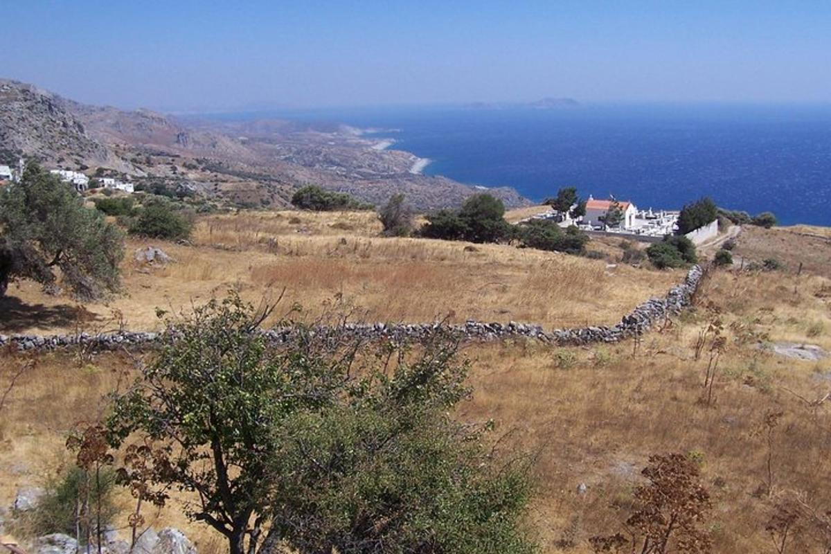 o turmă mare de oi pe un deal cu oceanul