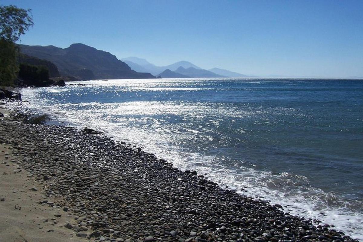 o plajă stâncoasă cu oceanul și munții în fundal